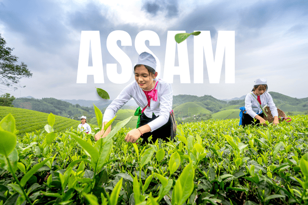 Assam